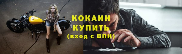 mix Белокуриха