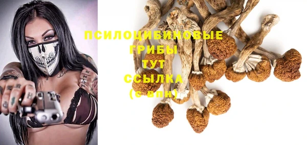 mix Белокуриха