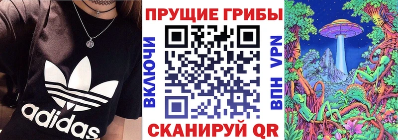 хочу наркоту  Улан-Удэ  Псилоцибиновые грибы мицелий 
