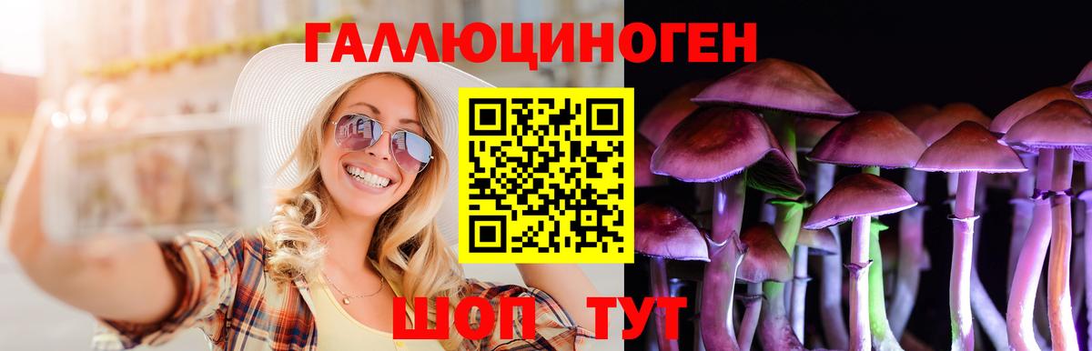 Псилоцибиновые грибы мицелий  Галлюциногенные грибы мицелий  Улан-Удэ  Вход с VPN 